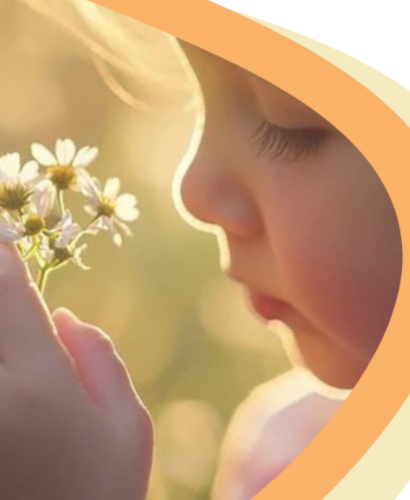  A Learning Day in Paediatric Palliative Care